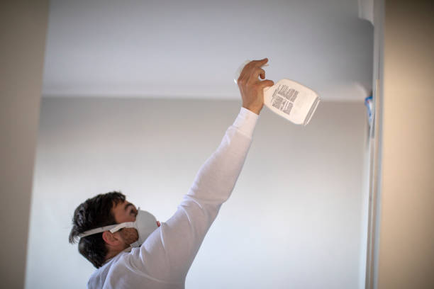 Best Black Mold Removal  in Bryson City, NC